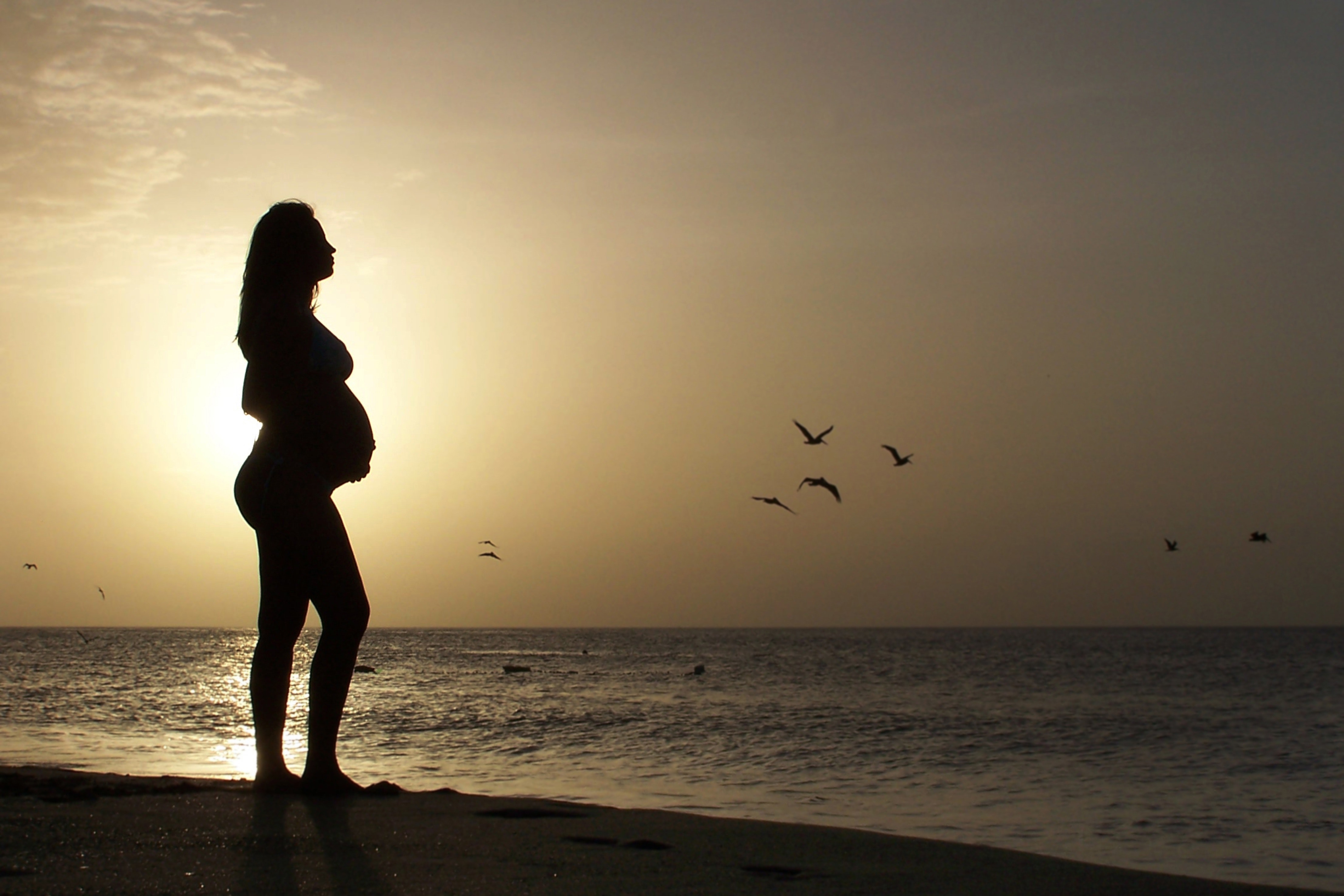 Pregnant travel